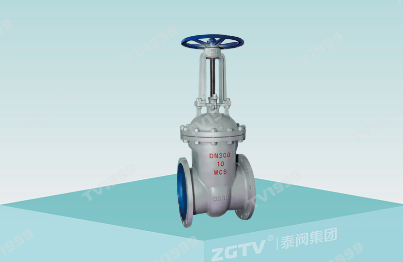 CNS wedge gate valve