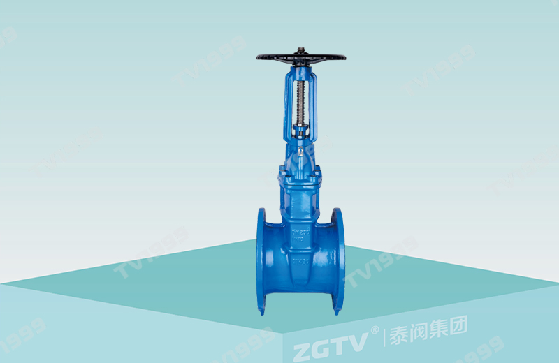 Rising stem elastic seat sealing gate valve