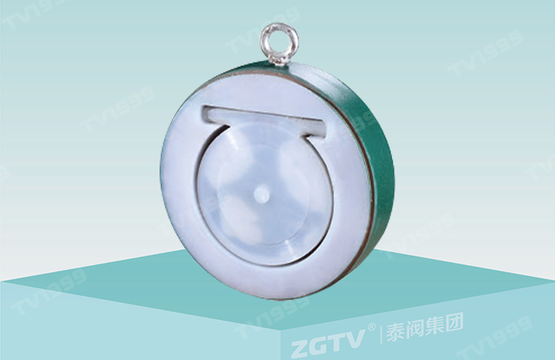 Fluorine lined single disc swing check valve H74F4