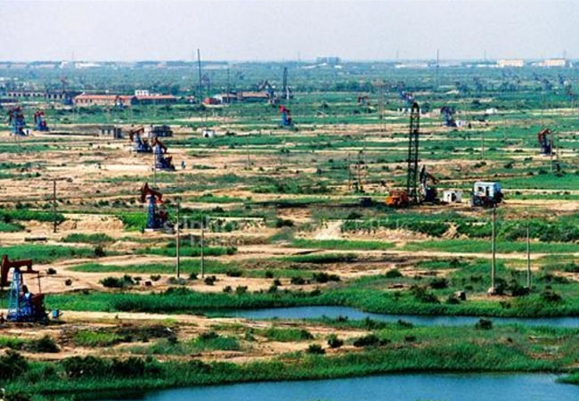 Shengli Gudong Oil extraction plant takes many measures to reduce the natural decline rate of produc(圖1) Shengli Gudong Oil extraction plant takes many measures to reduce the natural decline rate of produc(圖1)