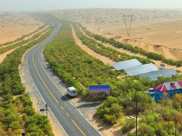 Rooted deep in the desert let green and oil dance(圖1) Rooted deep in the desert let green and oil dance(圖1)