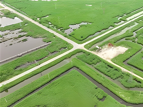 Build green and low-carbon oil fields to be the "pillar" of green development(圖1) Build green and low-carbon oil fields to be the "pillar" of green development(圖1)